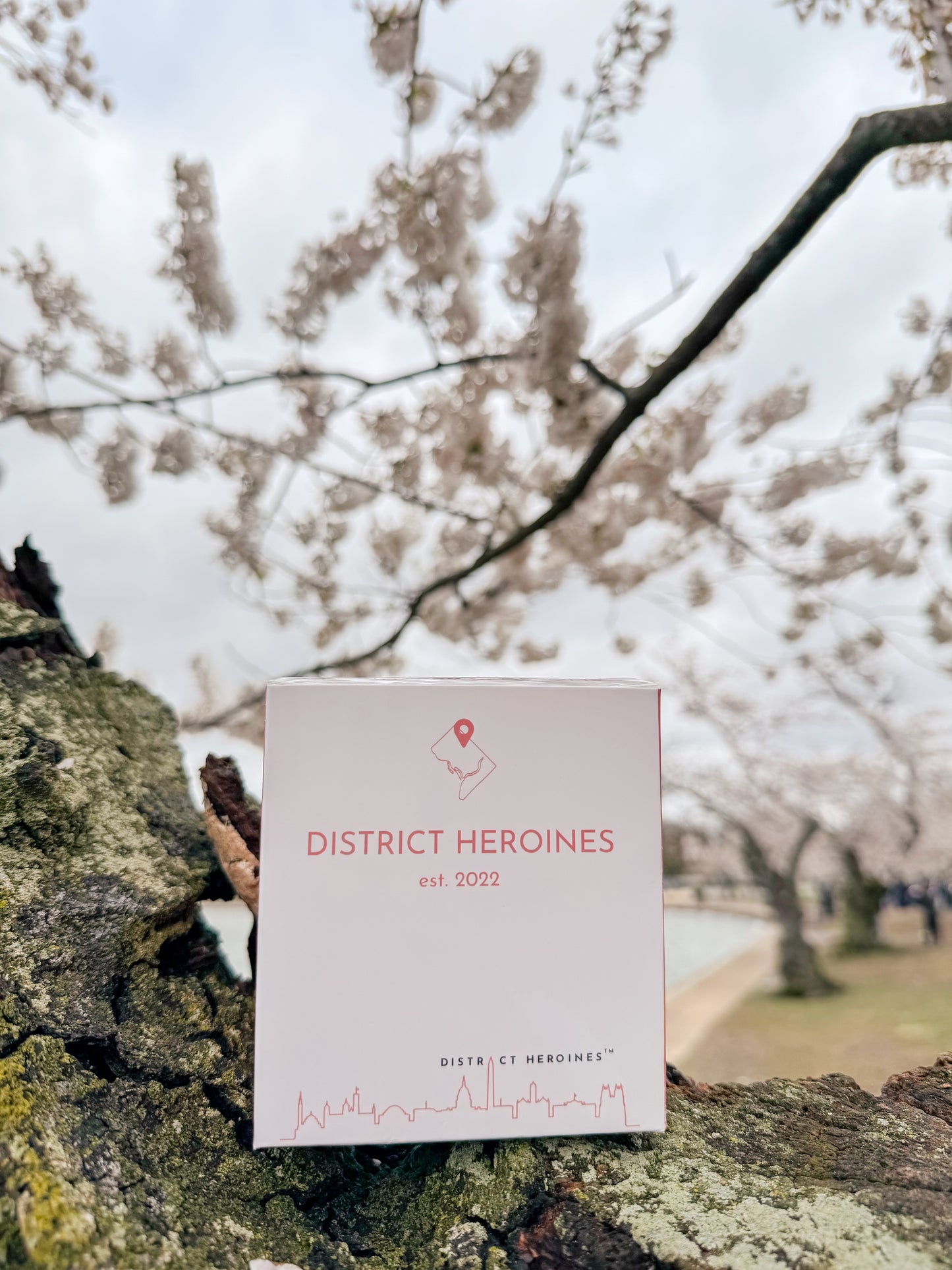 SOLD OUT - DC Cherry Blossoms