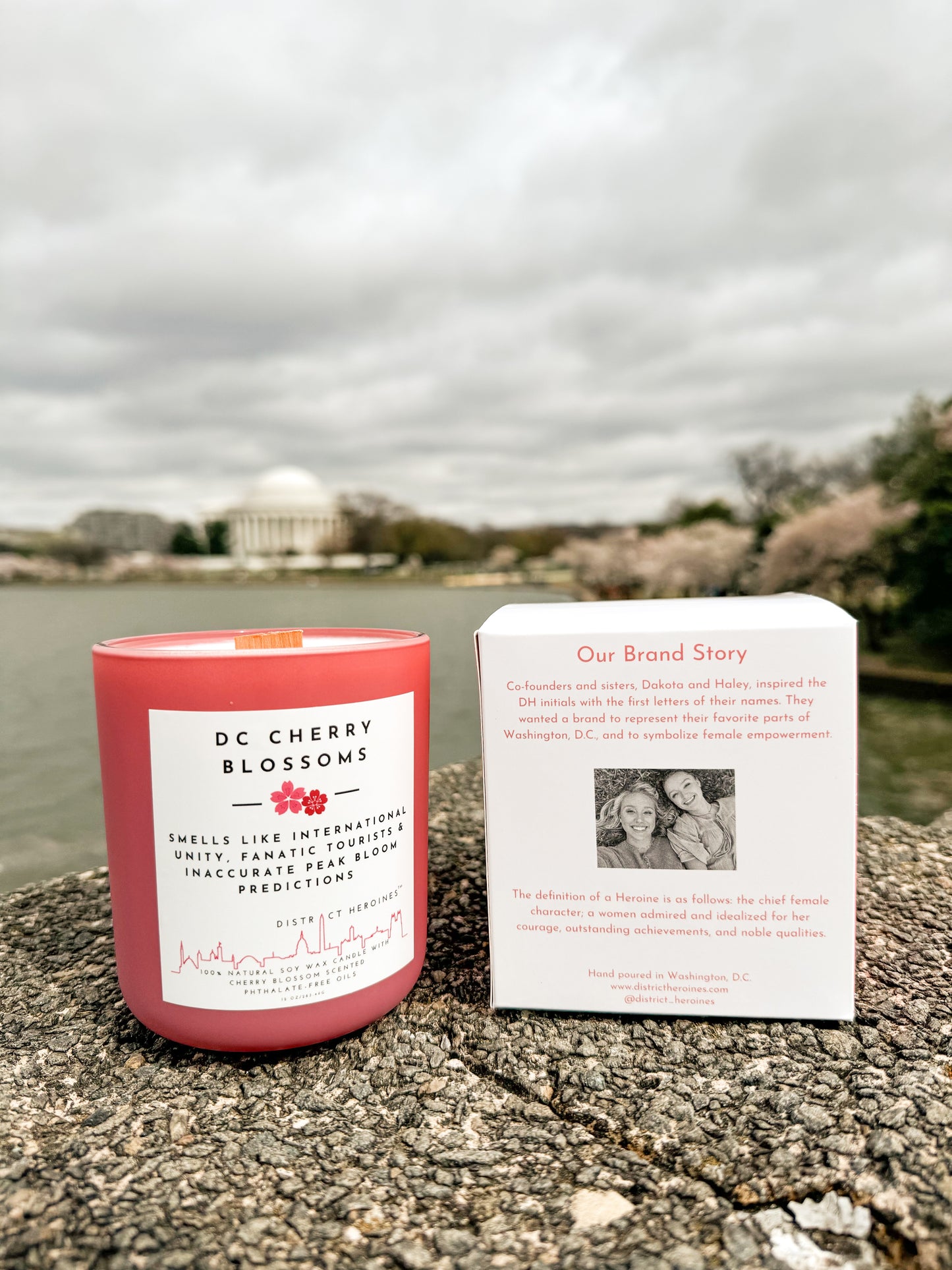SOLD OUT - DC Cherry Blossoms