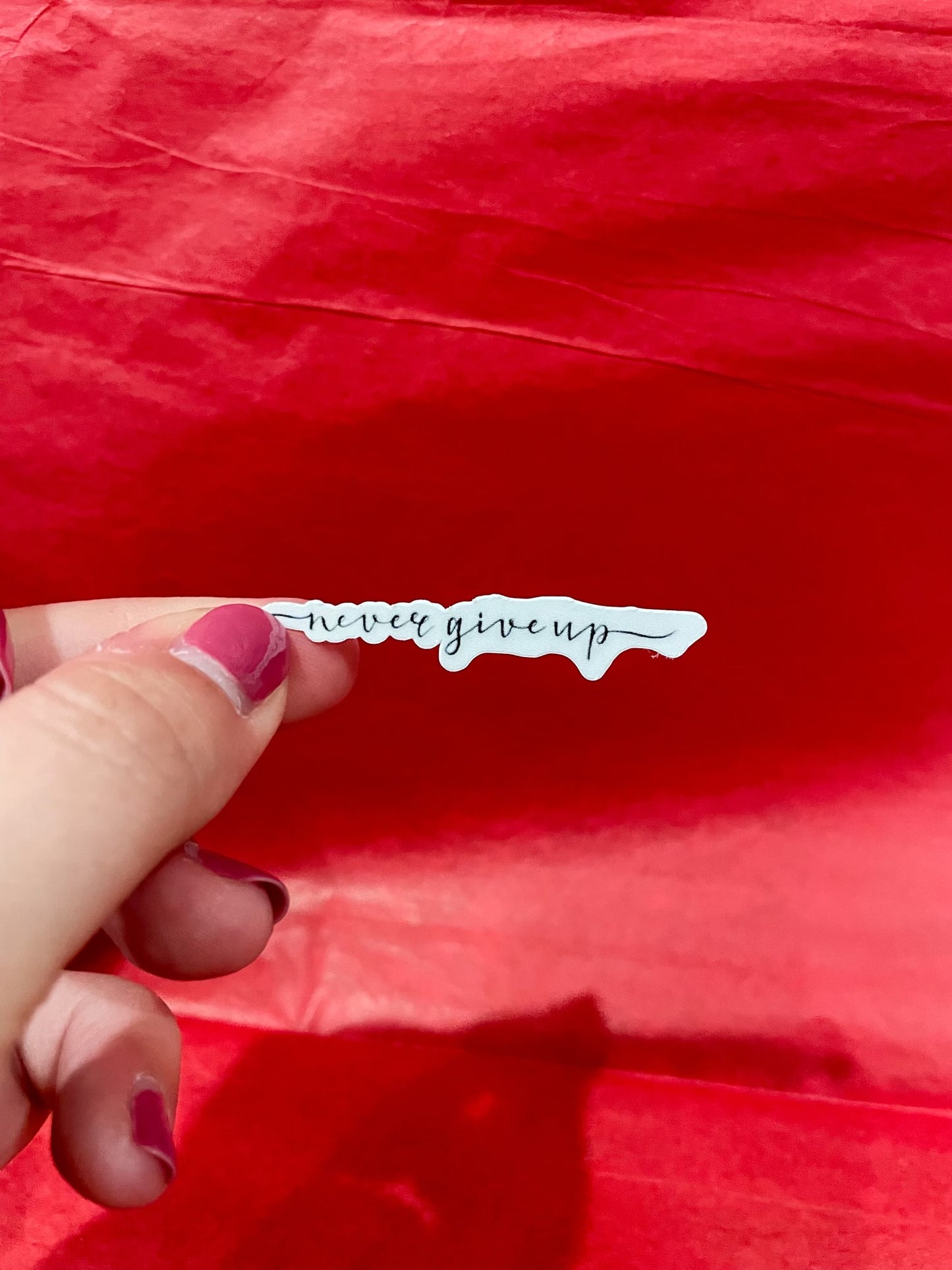 Never Give Up Sticker