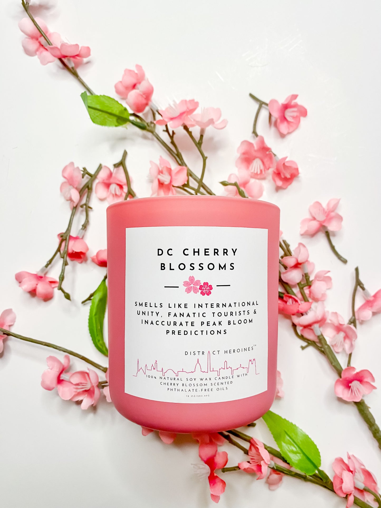 SOLD OUT - DC Cherry Blossoms