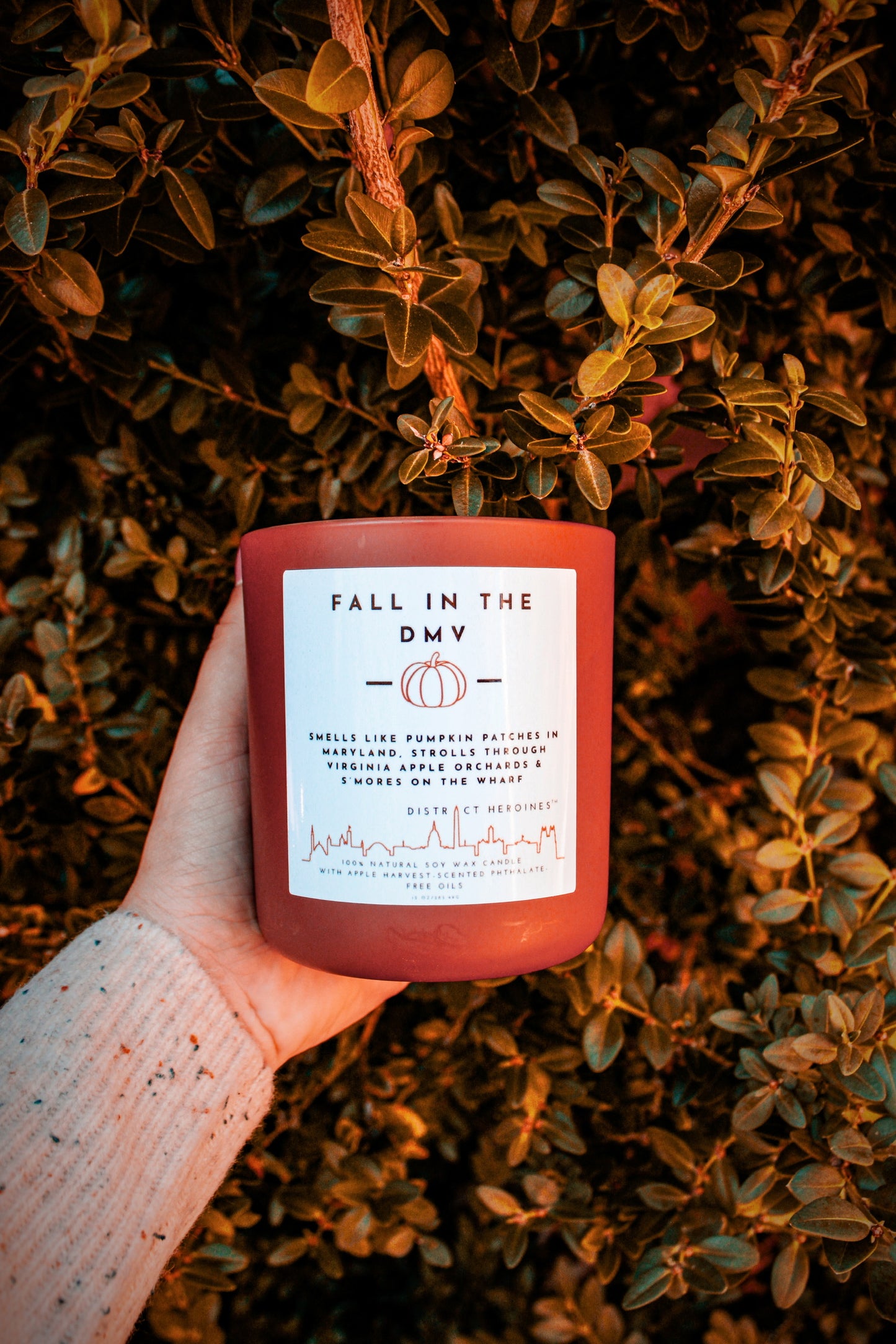 SOLD OUT - Fall in the DMV (Seasonal Candle)